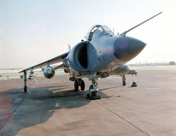 British Aerospace Sea Harrier FRS. 1 XZ451