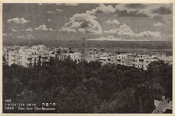 View of Haifa from Gan Binyamin, Northern Israel
