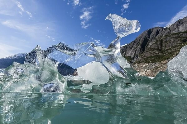 Glacial ice calved from the Sawyer Glacier, Williams Cove, Tracy Arm-Fords Terror Wilderness Area, Southeast Alaska, United States of America, North America