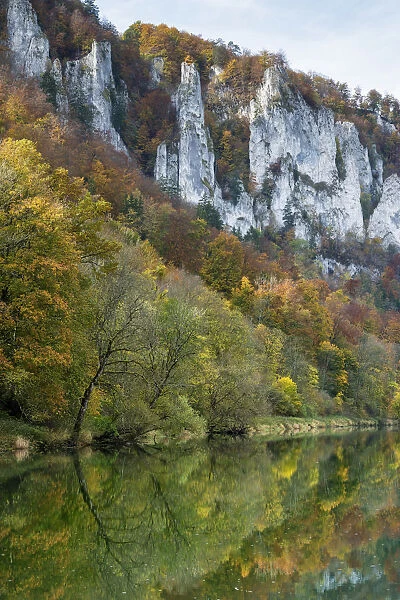 Craggy limestone cliffs with a deciduous forest with autumnal colours in the Danube Valley, Baden-Wuerttemberg, Germany, Europe