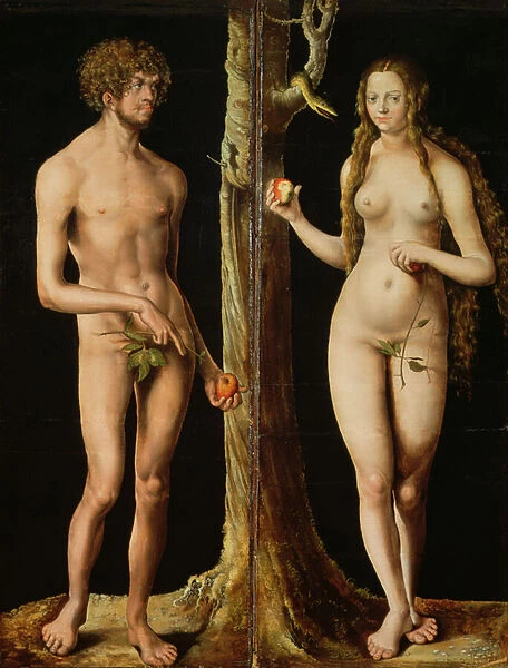 Adam and Eve, c. 1508-10 (oil and tempera on lime) (see also 159264)
