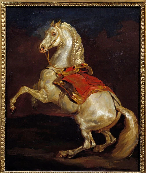 Tamerlan horse. Painting by Theodore Gericault (1791-1824), 19th century. Oil on canvas