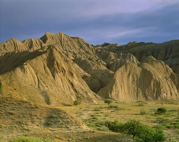 Semi desert with Badlands, border area to Azerbaidjan, Vashlovani National Park, Georgia