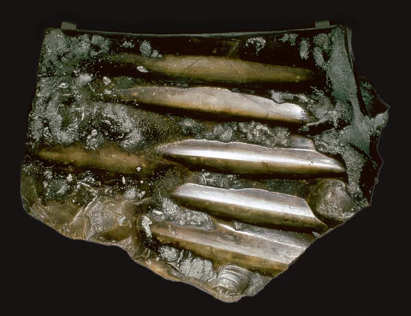 Flint polishing stone from Neolithic France