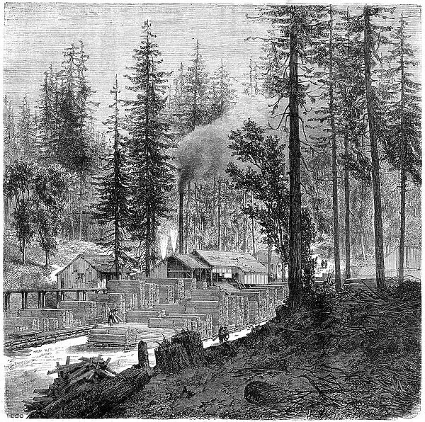 Sawmill, California, 19th century. Artist: Theroud