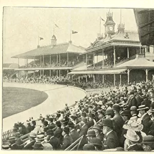 Members and Ladies Pavilions, Sydney Cricket Ground