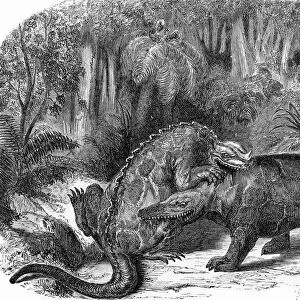 Iguanodon and Megalosaurus, artwork