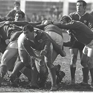 1969 5N: Wales 24 Ireland 11
