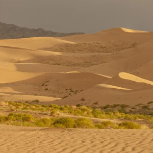 Sand Dunes at Sunset. Gobi Desert. Mongolia