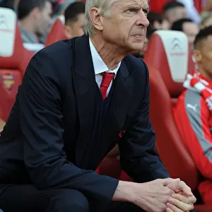 Arsene Wenger: Arsenal Manager at Emirates Stadium (2016-17)
