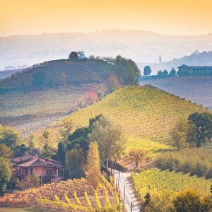 Autumn in Langhe Region, Piedmont, Italy. Vineyards at sunset
