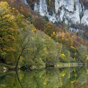 Craggy limestone cliffs with a deciduous forest with autumnal colours in the Danube Valley, Baden-Wuerttemberg, Germany, Europe