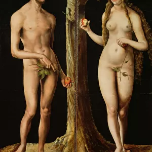Adam and Eve, c. 1508-10 (oil and tempera on lime) (see also 159264)