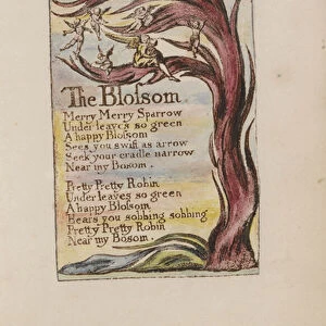 The Blossom, plate 28 from Songs of Innocence