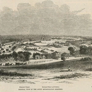 General view of the South Metropolitan Cemetery (engraving)