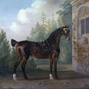 Lord Abergavennys Dark Bay Carriage Horse with a Terrier, 1785 (oil on canvas)