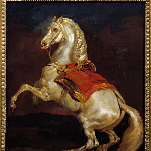 Tamerlan horse. Painting by Theodore Gericault (1791-1824), 19th century. Oil on canvas