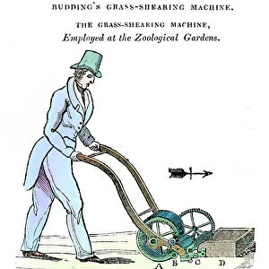 Buddings Grass-shearing Machine, c1832