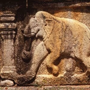 Elephant Frieze on Base of Audience Hall, Polunnaruwa, Sri Lanka, 20th century