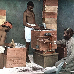Packing and weighing tea for export on a Ceylon (Sri Lanka) estate, 1905