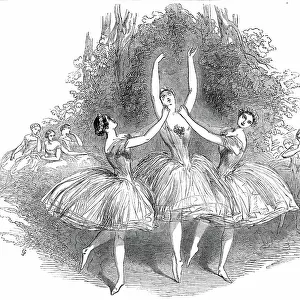 The "Pas de Trois des Graces", at Her Majesty's Theatre, 1850. Creator: Smyth. The "Pas de Trois des Graces", at Her Majesty's Theatre, 1850. Creator: Smyth