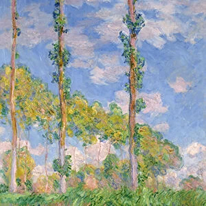 Poplars in the Sun, 1891. Artist: Monet, Claude (1840-1926)