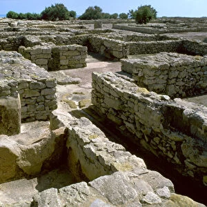 Punic townhouse and Dye Vats, 5th century