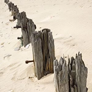 Posts In Sand