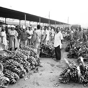 Bananas for sale at a market in Kampala, Uganda. 27th February 1977
