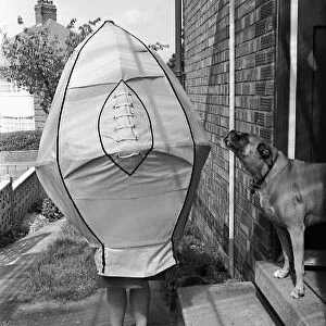 Mrs Hilda Watson tries on a giant 4 foot rugby ball as her dog Amber watches on bemused