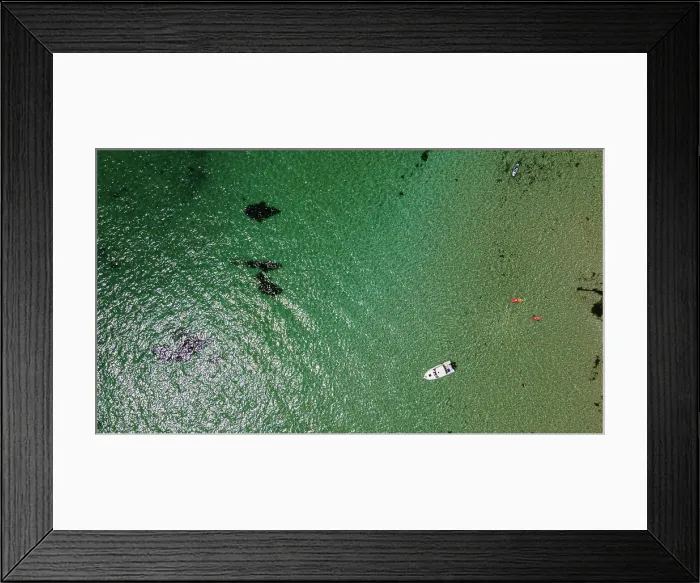 Framed Print : MORNINGTON PENINSULA STOCK