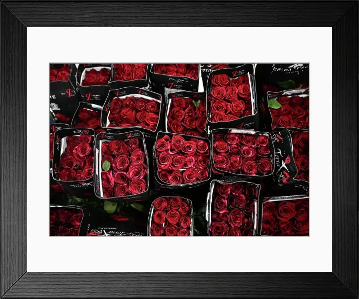 Framed Print : MELBOURNE VALENTINES DAY FEATURE
