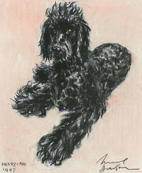 Black dog named Henry-Poo by Muriel Dawson