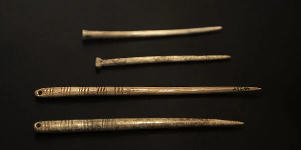 Bone pins. Neolithic. Denmark
