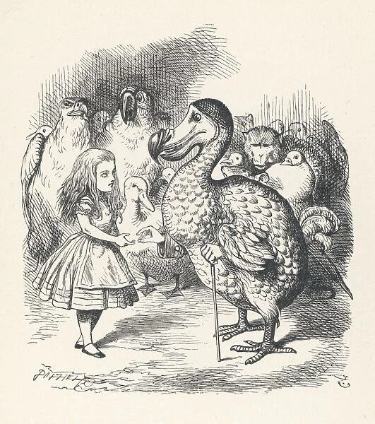 Carroll  /  Alice & the Dodo