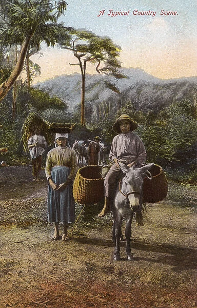 Country scene on a plantation in Jamaica, West Indies