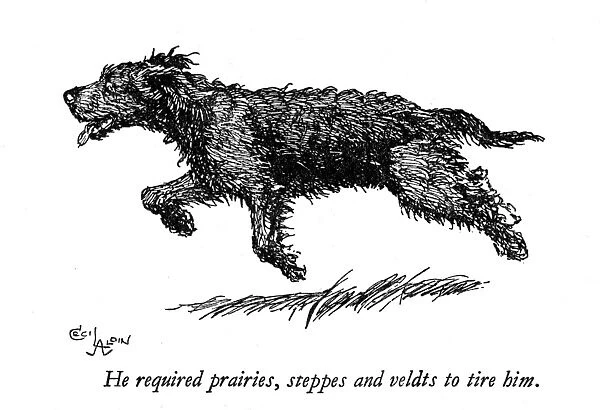 Illustration of a black dog by Cecil Aldin