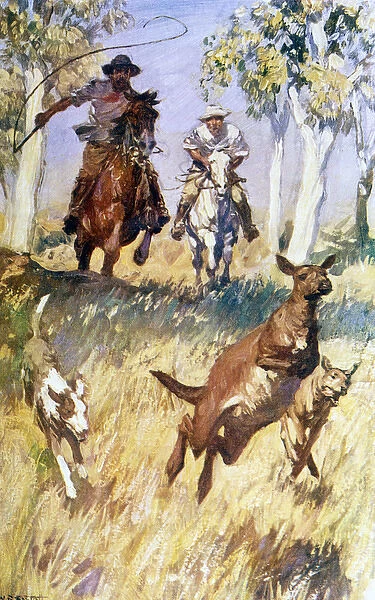 Kangaroo Hunt