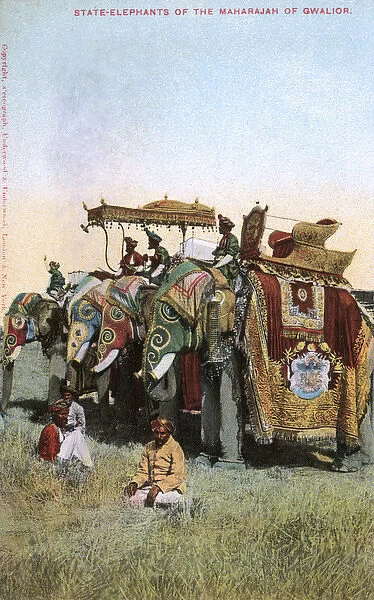Maharaja of Gwaliors four state elephants, India