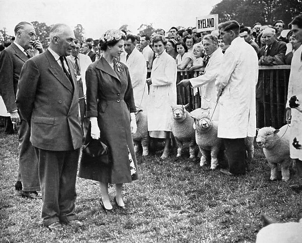 The Queen inspects prizewinning sheep