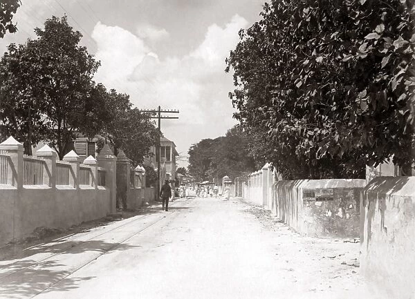 Street scene, Barbados, West Indies, circa 1900