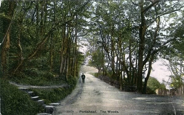 The Woods, Portishead, Somerset