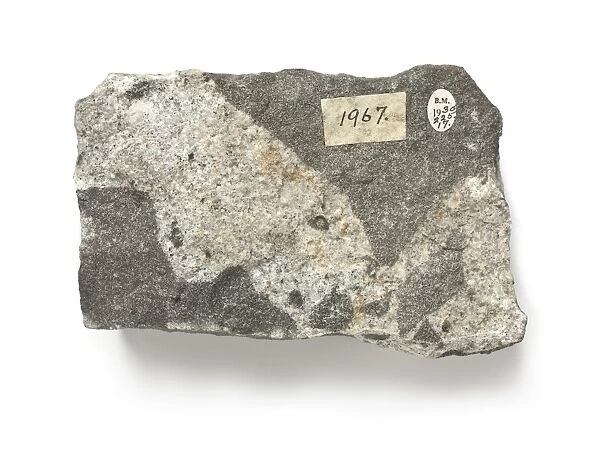 Diorite intruded by microgranite C016  /  6207