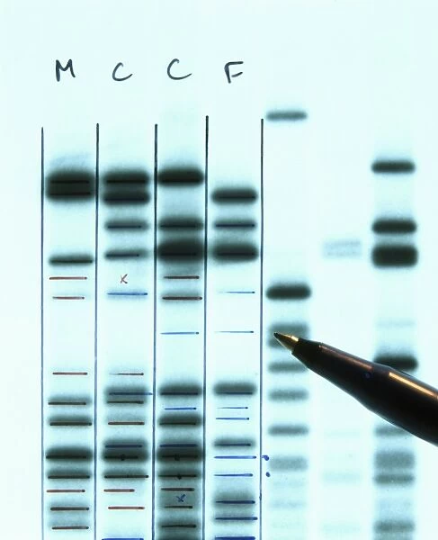 DNA fingerprinting for proving family relationship