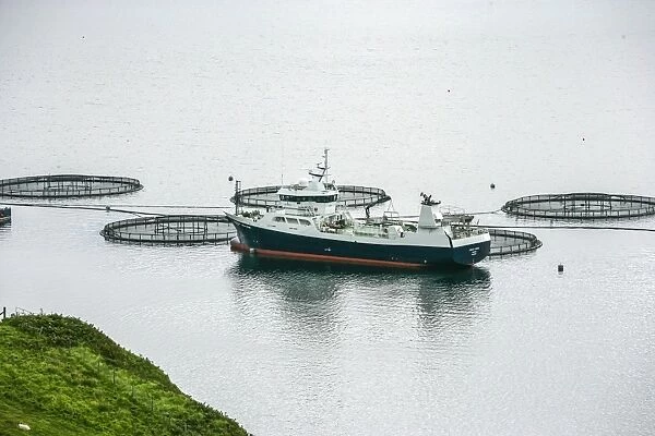 Salmon pens with well boat C018  /  0759