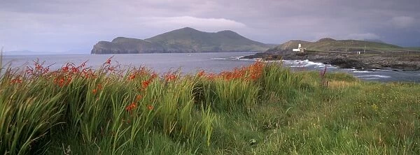 Doulus Bay and Doulus Head, Valentia island, Ring of Kerry, Munster, Republic of Ireland