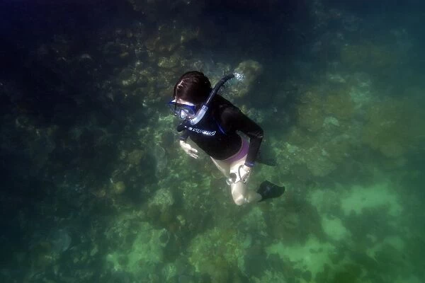 Snorkeller returning to surface, Rock Islands, Palau, Micronesia (rr)