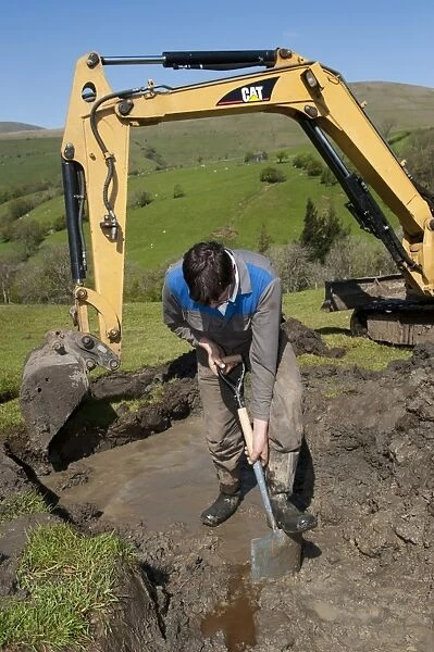 Farmer repairing old blocked drain in upland meadow using mini digger and spade, Cumbria, England, May
