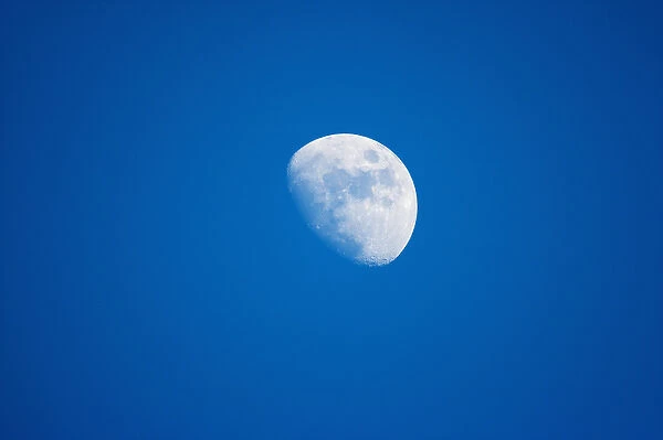 USA, Maine, Acadia National Park, Gibbous moon at dusk in clear blue sky