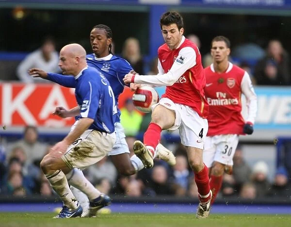 Arsenal's Triumph at Goodison Park: March 18, 2007 (1-0 Victory)